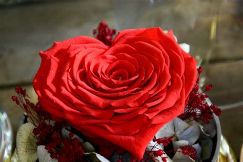 Origines De La Saint Valentin Carré Roses Fleuriste à Bordeaux