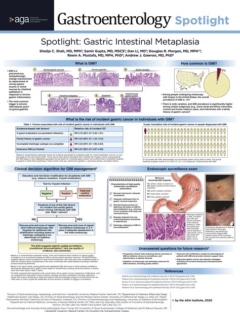 Gastric Intestinal Metaplasia Gim • Gim Is A Precancerous Grepmed