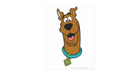 Scooby Doo Smiling Face Postcard