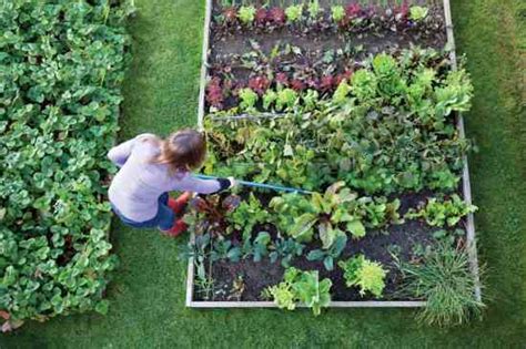 Gardening Tips For Beginners Garden Grit Magazine