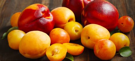 What Is Stone Fruit Top 16 Stone Fruits And Their Benefits