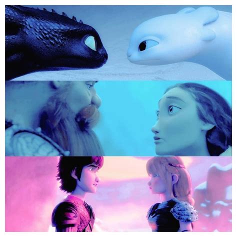Httyd Couples Toothless And The Light Fury Stoick And Valka