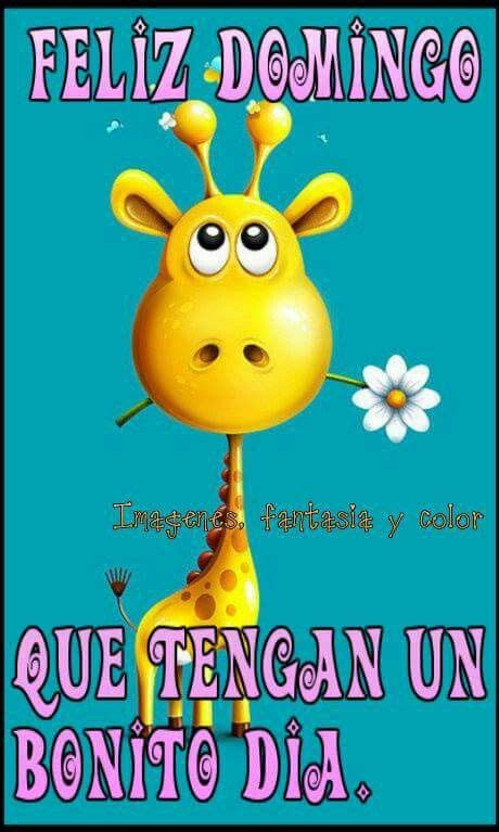 Check spelling or type a new query. Domingo | Saludos de buenos dias, Feliz domingo, Feliz y ...