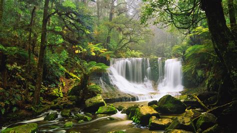 Waterfall Jungle Forest Rocks Stones Moss Hd Wallpaper Nature And