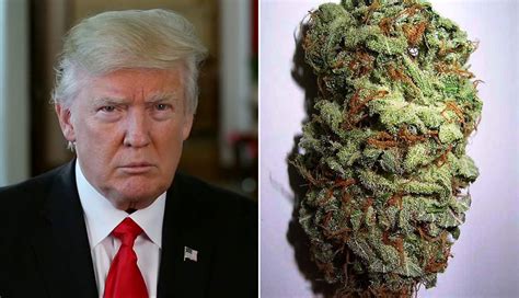 If you really want to know, there are certain ways to ask without being rude, depending on the scenario, the person and the need to know. Are People Smoking More Weed Under President Trump?
