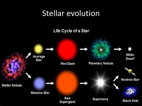Ppt E5 Stellar Processes And Stellar Evolution Hl Only Powerpoint