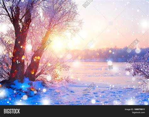 Beautiful Winter Landscape Scene Image And Photo Bigstock