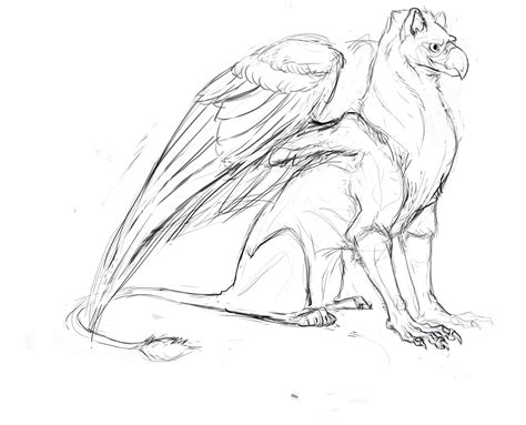 The Best Free Gryphon Drawing Images Download From 74 Free Drawings Of