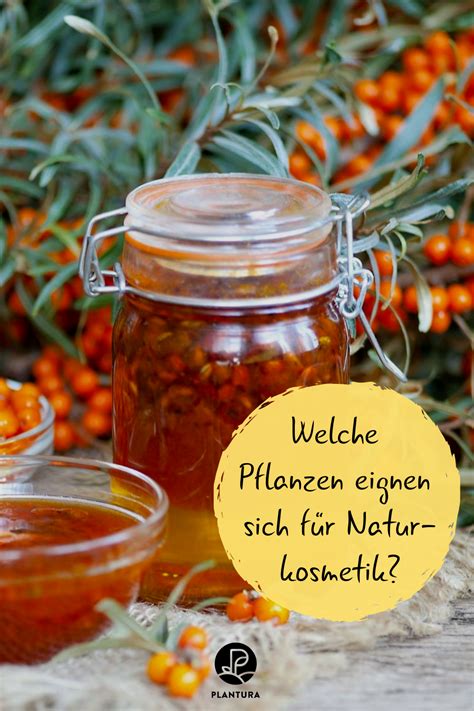 Die frischen kräuter waschen, kurz abtupfen und fein zerhacken. Naturkosmetik aus dem eigenen Garten: Die 10 besten ...