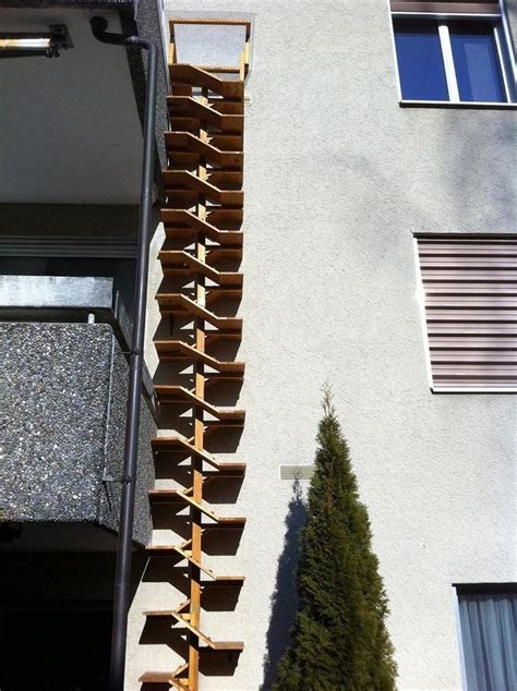 Image Result For Cat Ladder Window Outdoor Cat Ladder