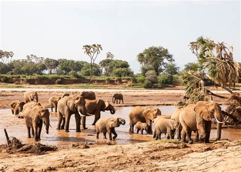 Visit Samburu National Reserve In Kenya Audley Travel