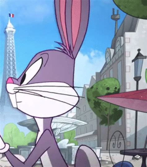 女婴 ･ﾟ Bugs Bunny Looney Tunes Characters Looney Tunes