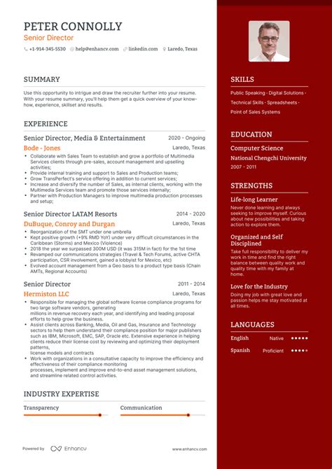 Senior Director Resume Examples And Guide For 2023 Layout Skills