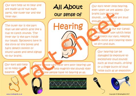 All About Our Sense Of Hearing Mindingkids