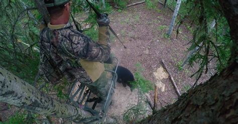 Hunter Spears Huge Black Bear From A Tree Stand Getzone