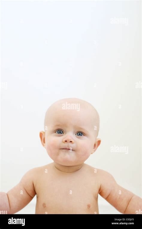 Bald Baby In Front Of White Background Stock Photo Alamy