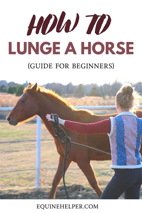 In this video, i teach you how to lunge a horse in a round pen! Not sure how to lunge a horse in a round pen? This guide ...