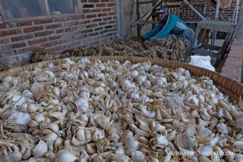 Minuman ini berfungsi sebagai pengobatan alternatif dan sudah terbukti dapat membantu. Buah Dan Sayuran Untuk Menurunkan Gula Darah Language:id ...