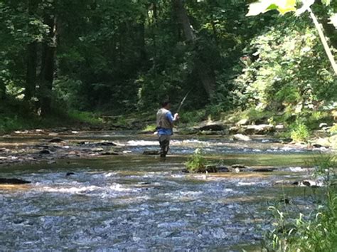 Fishing Southern Pa Style A Classic York County Trout Stream