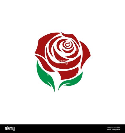 Plantilla De Logotipo De Flor Rosa Icono Vectorial Ilustración