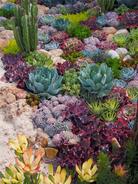 8 Garden Tasks You Need To Complete In March Succulent