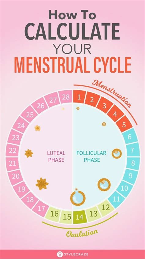 Pin By Freemons4xr06j On Health Menstrual Cycle Menstrual Health