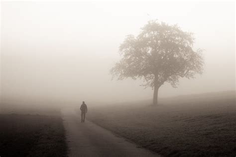 A Foggy Morning Pabst