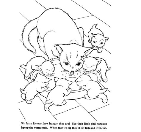 Cute Baby Cats Coloring Pages Animal Pictures Coloring