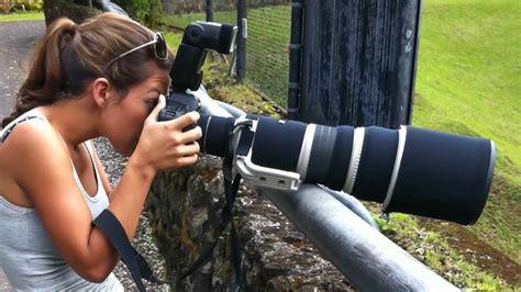 Bird And Wildlife Photography Equipment Lenses Cameras