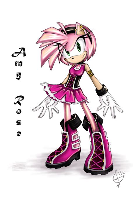 Amy Hedgehogs Fan Art 2510086 Fanpop