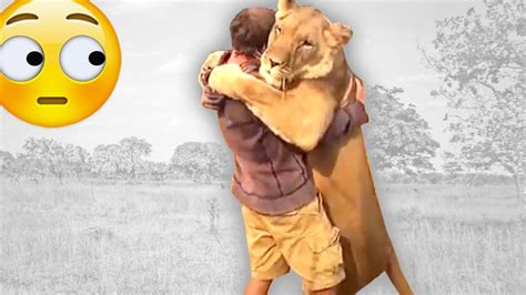 Man Reunited With Lion He Raised As A Cub Youtube