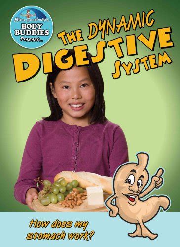 The Dynamic Digestive System How Does My Stomach Work Slim Goodbody