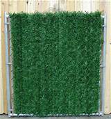 Privacy Hedge Slats For Chain Link Fence Pictures