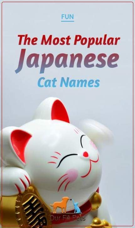 42 best ideas for cats names fur #cats | Japanese cat, Cat names, Girl