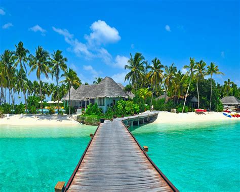 Free Download Tropical Paradise Desktop Wallpapers Top Tropical