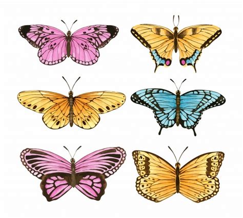 Acuarela mariposa, conjunto de mariposa dibujado a mano pintado para tarjeta de felicitación ...