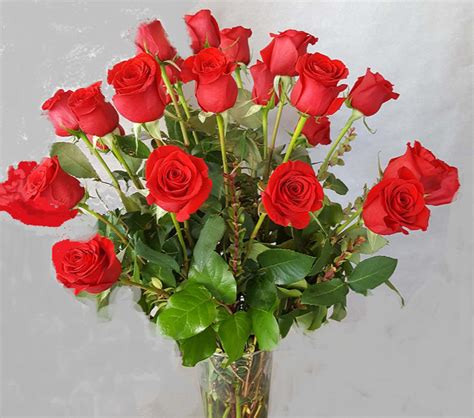 2 Doz Red Roses By Market Street Floral