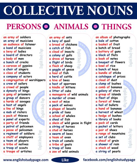 Tell Me 50 Examples Of Collective Nouns English Nouns 466190