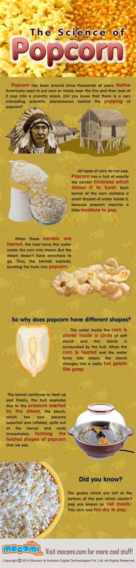Science Infographic National Popcorn Month And Science Of Popcorn