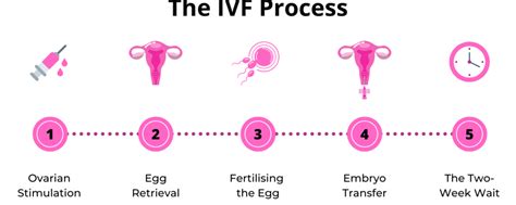 Ivf Treatment And Cost Malaysia Sunway Fertility Centre Ivf