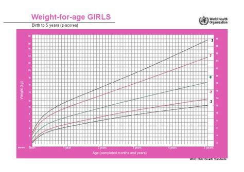 Child Growth Chart Who Girls Z 0 5
