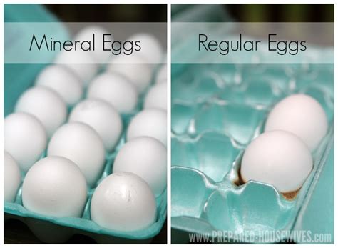 Preserving Eggs With Mineral Oil One Year Later Prepared Housewives