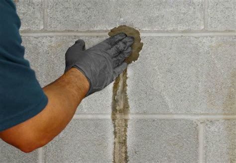 We did not find results for: How to Stop Water Seepage in Your Basement | Encore HQ