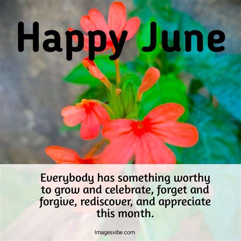 Best 30 Happy June Quotes With Images And Messages In 2024 Images Vibe