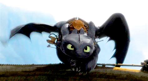 Favorite Toothless  Evah Toothless Why Are You So Gorgeous