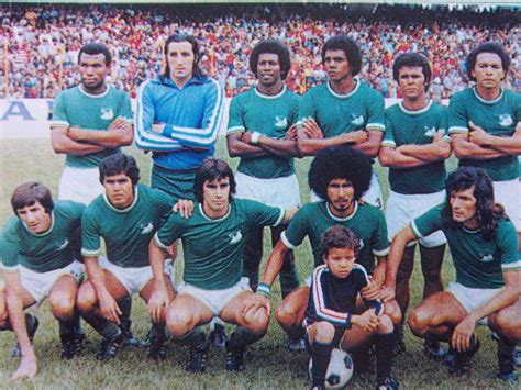 Selecione entre imagens premium de . Deportivo Cali 1977 | Deportivo cali, Cali, Deportes