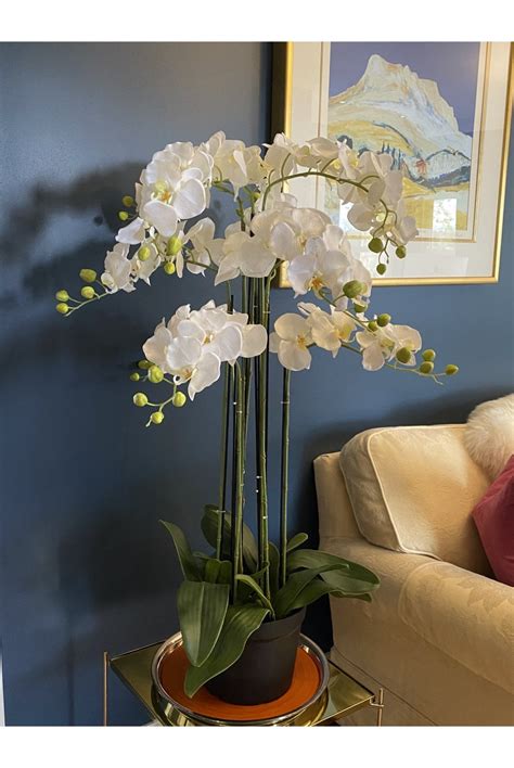 The Artificial Plants Shop Artificial Orchid Arrangement 110cm Tall