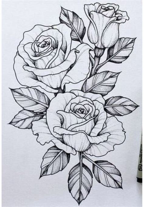 Dibujos Para Calcar Dibujo Rosa Bonito Dos Rosas Con Hojas Verdes