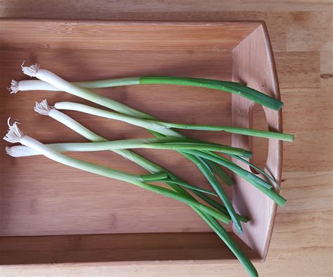 We did not find results for: How to Regrow Green Onions : 4 Steps (with Pictures ...