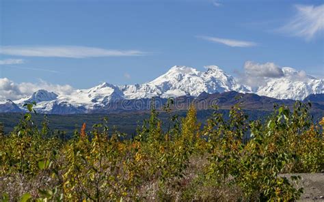 Fall Colors And Snow Capped Mountains In Alaska Stock Photo Image Of